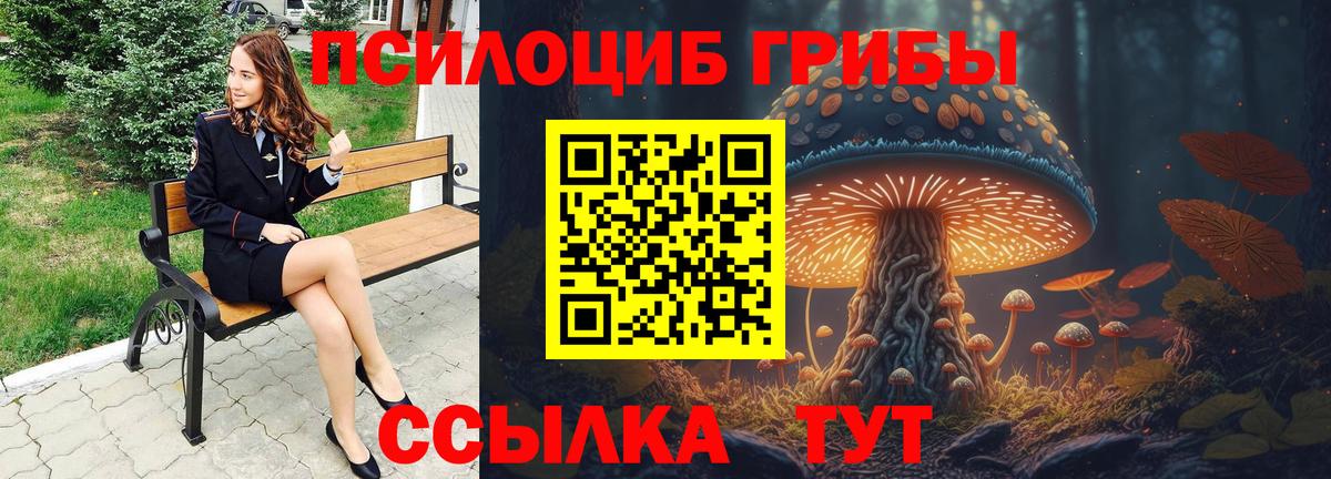 Галлюциногенные грибы MAGIC MUSHROOMS Тавда