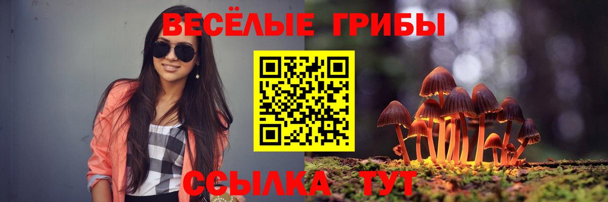 Тавда  Псилоцибиновые грибы прущие грибы  Вход с VPN 